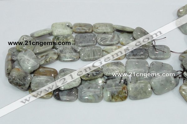 CAB88 15.5 inches 22*30mm rectangle silver needle agate gemstone beads