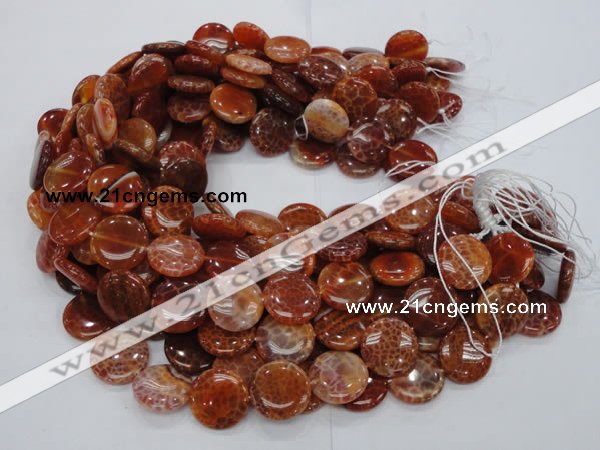 CAG632 15.5 inches 20mm coin natural fire agate beads wholesale