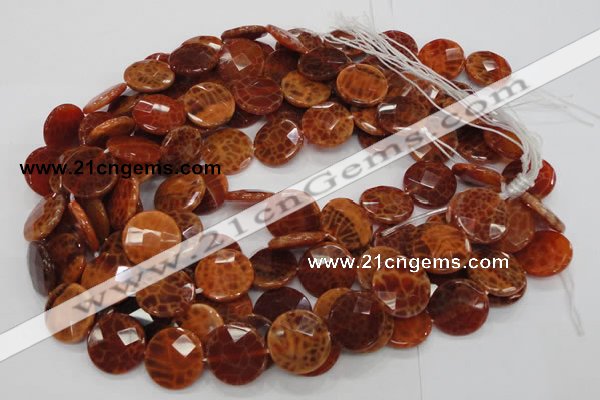 CAG639 15.5 inches 20mm faceted coin natural fire agate beads