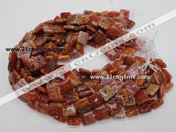 CAG645 15.5 inches 20mm square natural fire agate beads wholesale