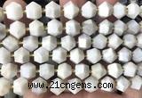 CME820 15 inches 8*10mm faceted bicone white crazy lace agate beads