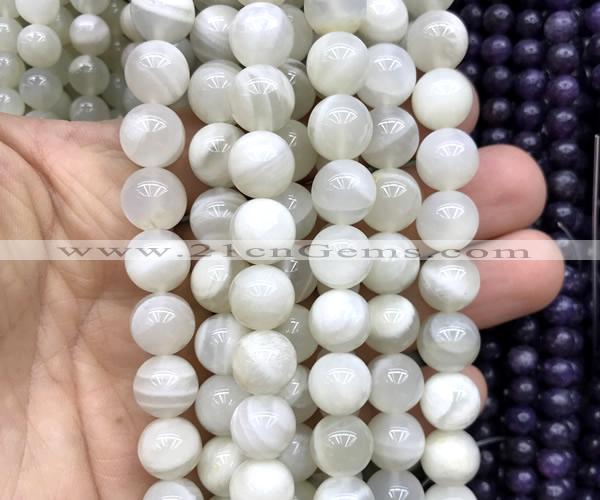 CMS2352 15 inches 10mm round white moonstone beads wholesale