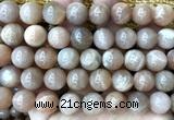 CMS2358 15 inches 12mm round moonstone beads wholesale