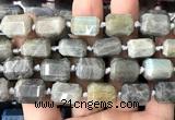 CTB1107 15 inches 12*16mm faceted tube labradorite gemstone beads